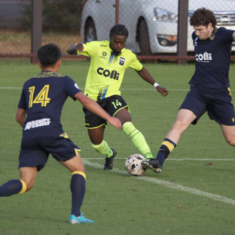 Bayswater City Soccer Club 2024 Season Highlights