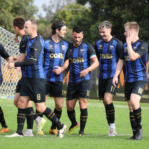 Gallery cover photo for 2024 Season Highlights