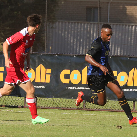 Bayswater City Soccer Club 2024 Season Highlights