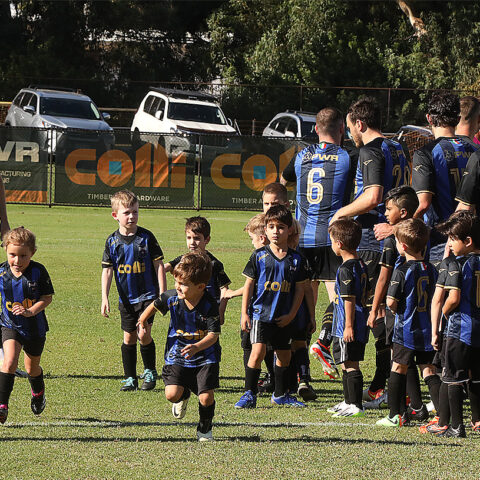 Bayswater City Soccer Club 2024 Season Highlights