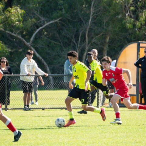 Bayswater City Soccer Club 2025 Season Highlights
