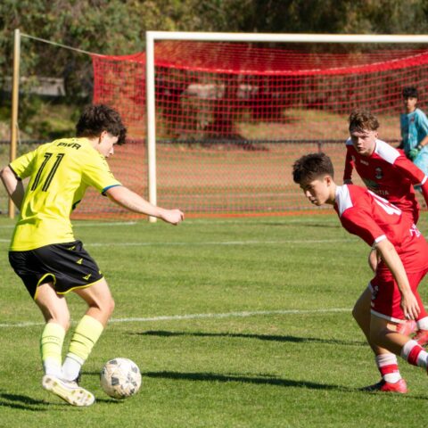 Bayswater City Soccer Club 2025 Season Highlights